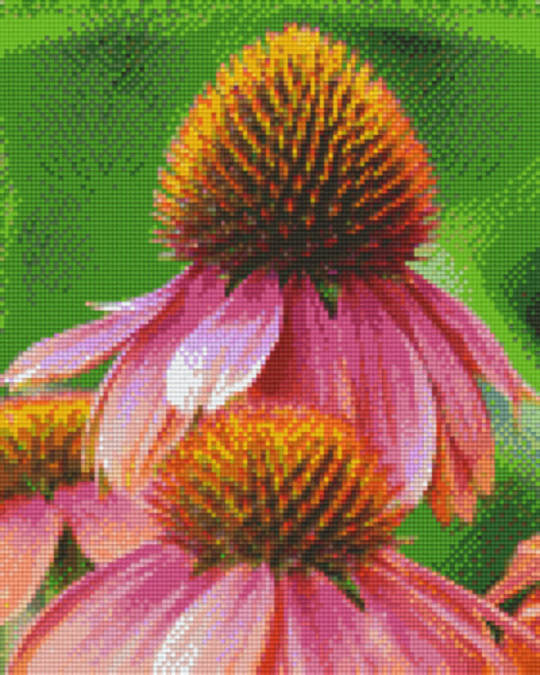 Red Daisies Nine [9] Baseplates PixelHobby Mini- mosaic Art Kit
